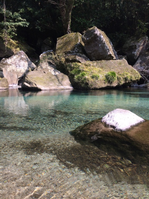 お休みありがとうございました！