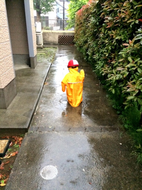 カッパがあるく