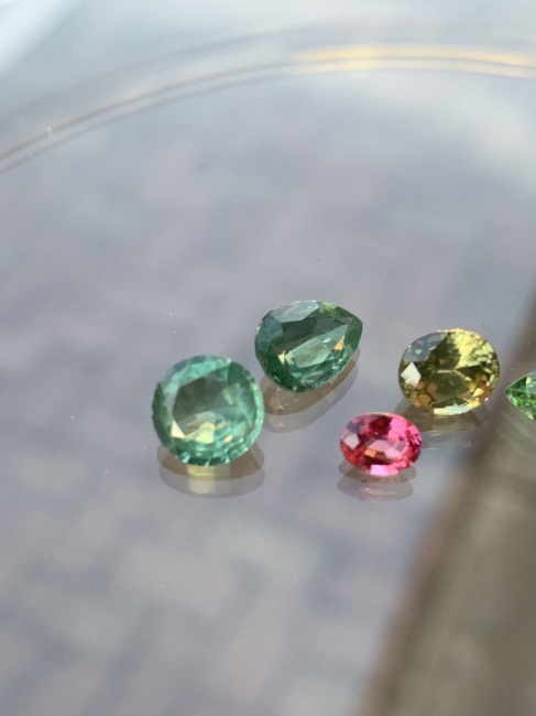 戻りまして 甲府に行ってきました