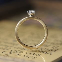 襞襟コンビの婚約指輪