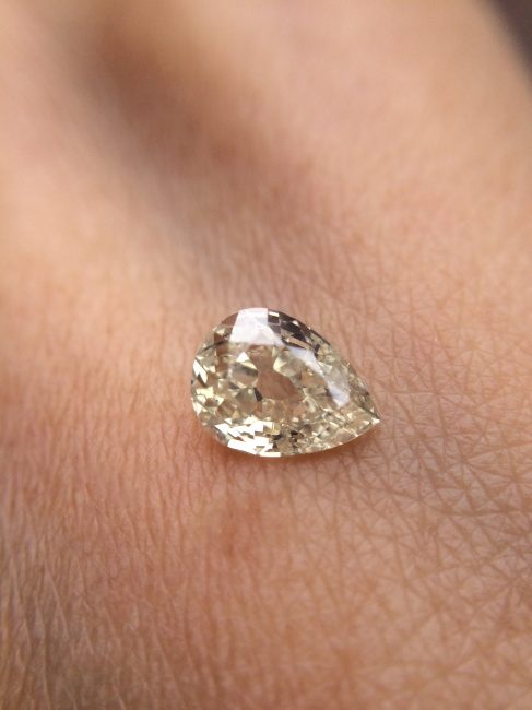 オールドヨーロピアンカット