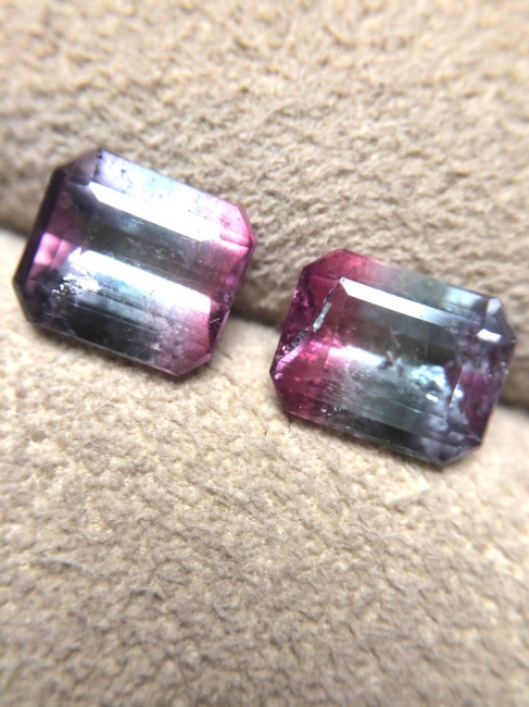 引き続きバイカラー