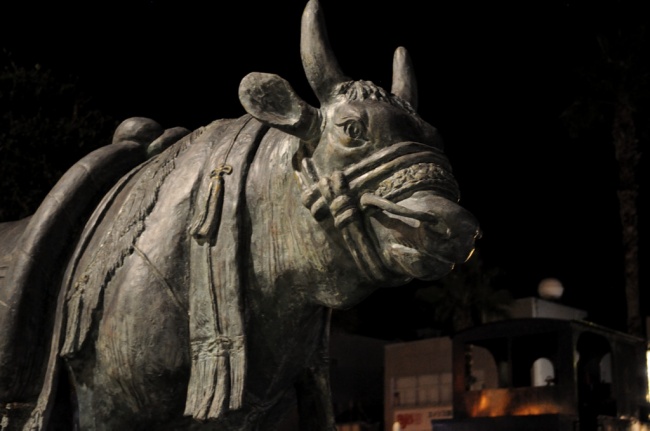 1人で真珠ツアー　1話目