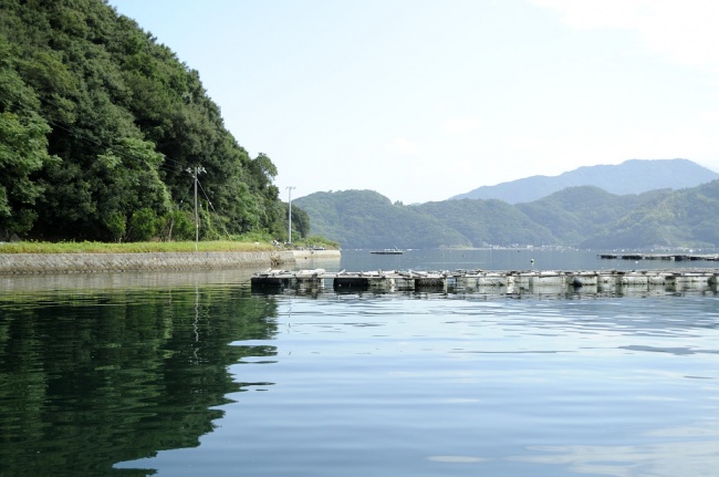 1人で真珠ツアー　5話目
