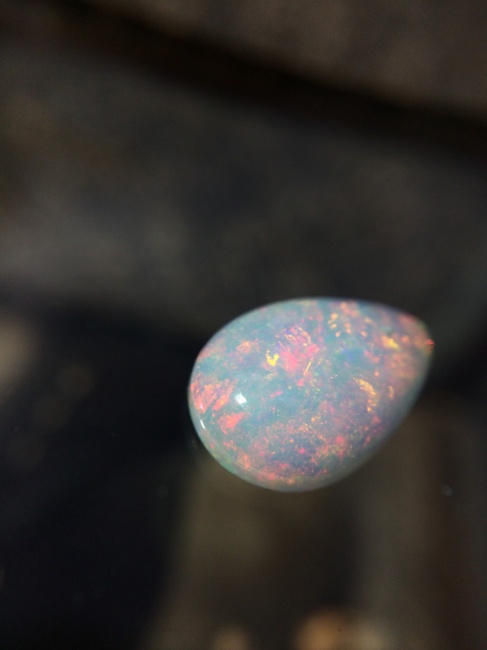 オパールオパールオパール!と水曜日の営業