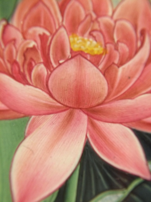 インド細密画展　本日よりスタート