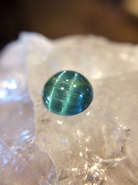 トルマリンキャッツ New