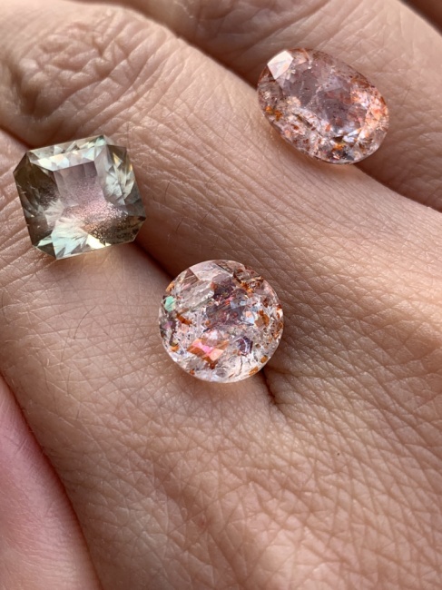 本日仕入れてまいりました