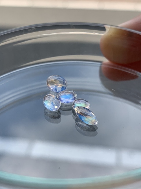 7/23.24.25 までは完全ご予約制とさせていただきます