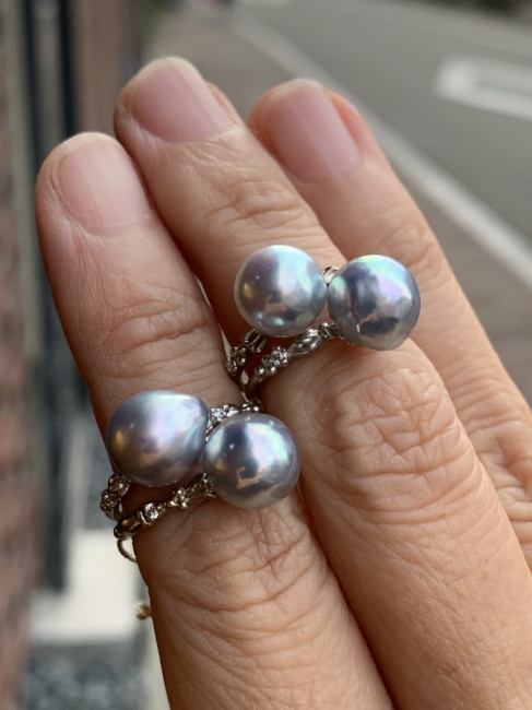 戻ってきました