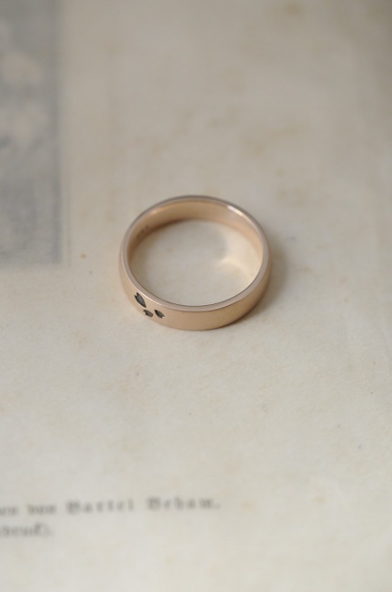 花びらと星座と