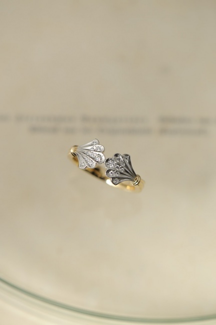 6/25（日）は臨時休業です　と貝殻リング（仮）