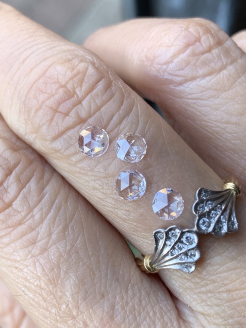 5/18は15時まで と ローズカットの入荷